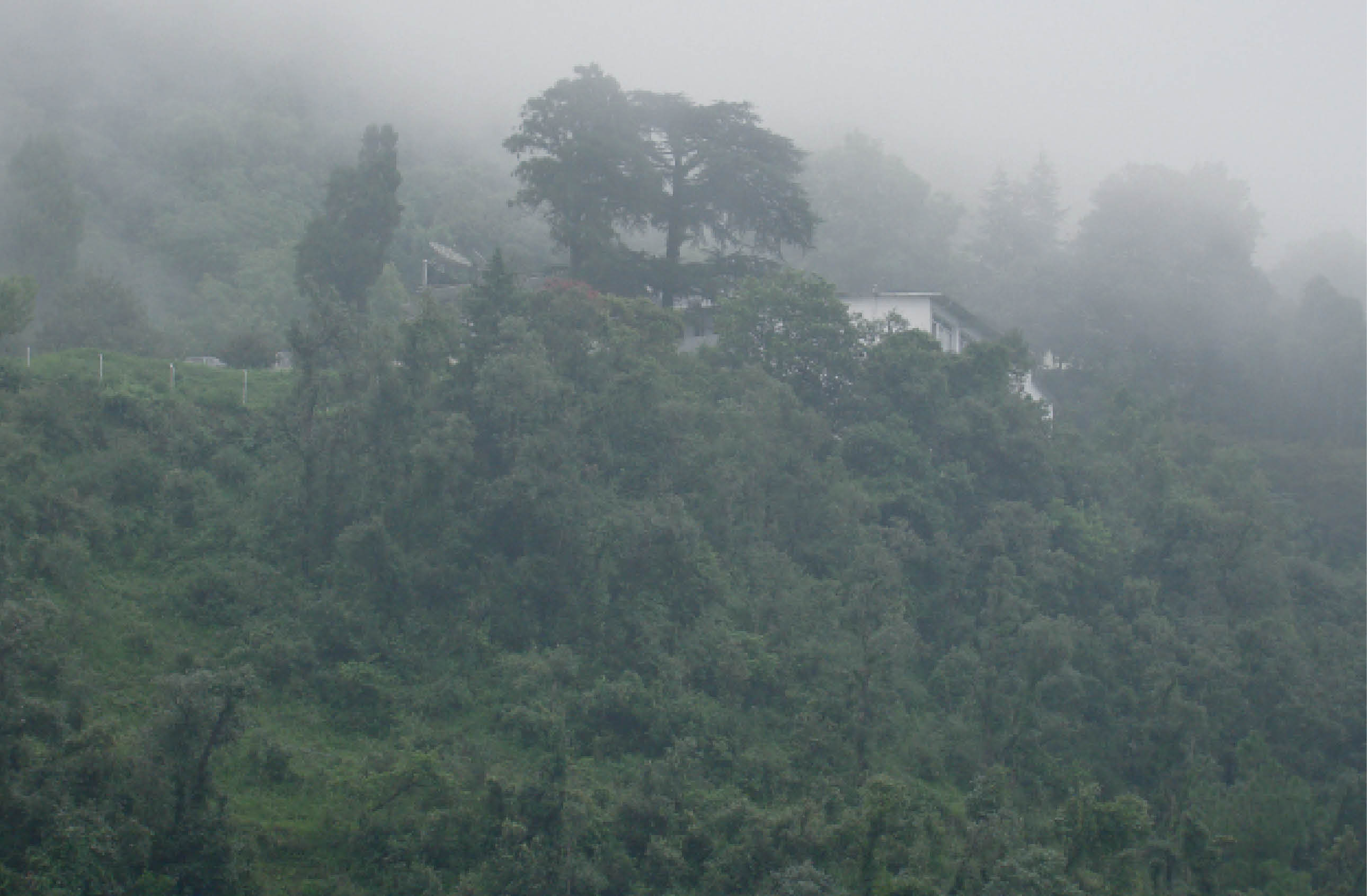 Rain Song: A weekend fare in Dehradun and Mussoorie